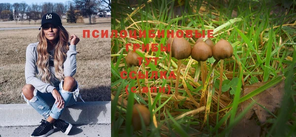 экстази Абаза