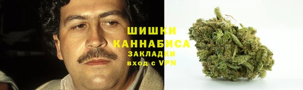 трава Переславль-Залесский
